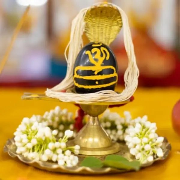Laghu Rudra Pooja